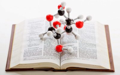 THE SCIENTIFIC ACCURACY OF THE BIBLE